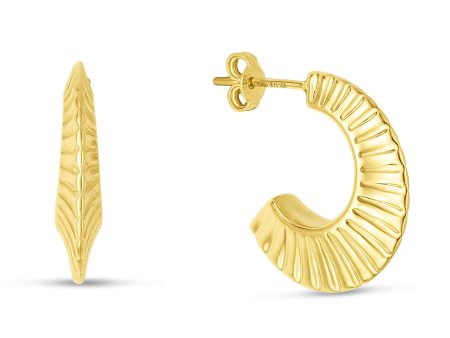 14K Gold Scalloped Hoops Fashion