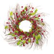 22 Inch Light-Up Christmas Wreath with Red Cranberries, Plug-in Operated LED Lights Online now