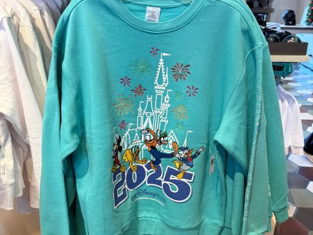 2025 Mickey and Friends Pullover Supply