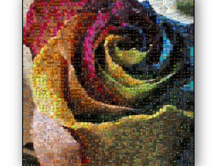 Photo Mosaic Impression sur Toile For Sale