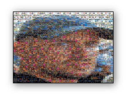 Photo Mosaic Poster Cheap